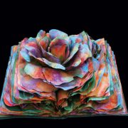 motiv-3-buecherblumen