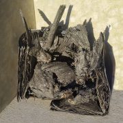 Martin_Schwarz_Voegel