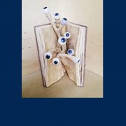 Martin_Schwarz_Wahrnehmung