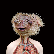 Aura und Corona – 10