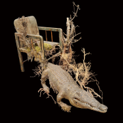 Aura und Corona – 6